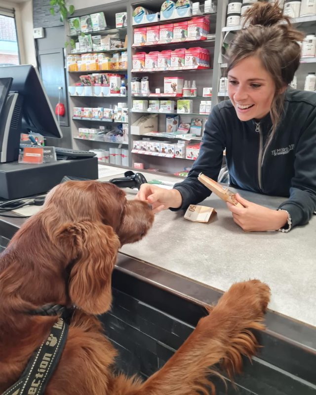 Manon te Avest in dierenspeciaalzaak te Morsche.