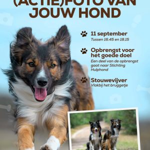 Samen op pootjes - Afbeelding 3
